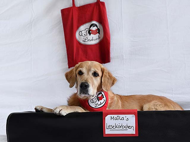 Lesehund Maila im Lesekörbchen